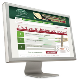 celtic careers website design sample