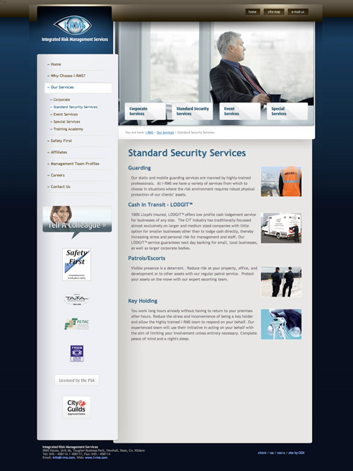 irms website design sample full screen